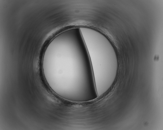 X0000101700392200807101350
