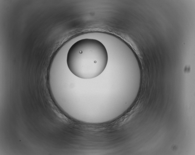 X0000101700393200807101350