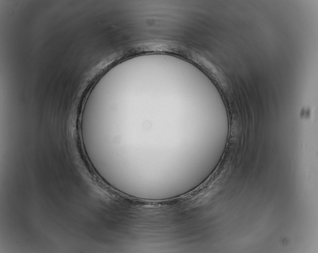 X0000101700394200807101350