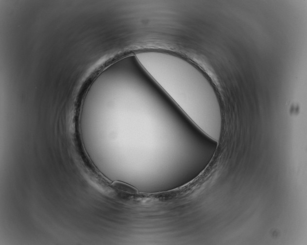 X0000101700395200807101350