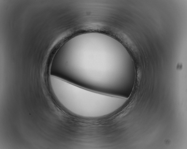 X0000101700396200807101350