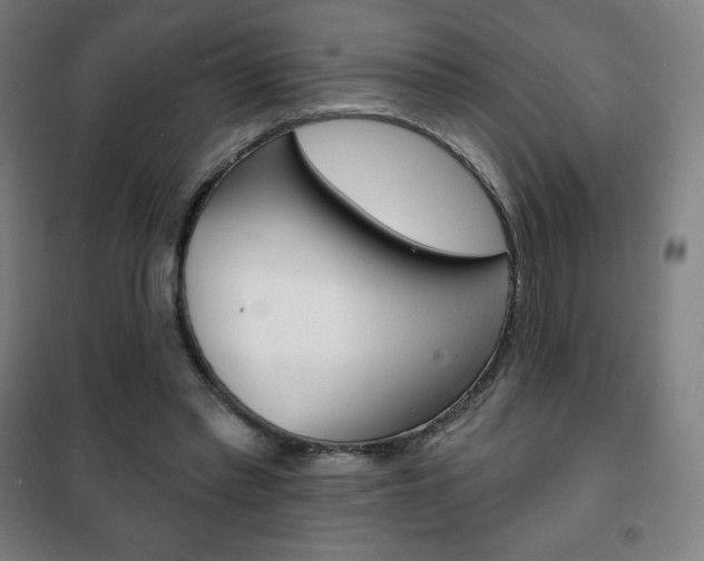 X0000101700397200807101350