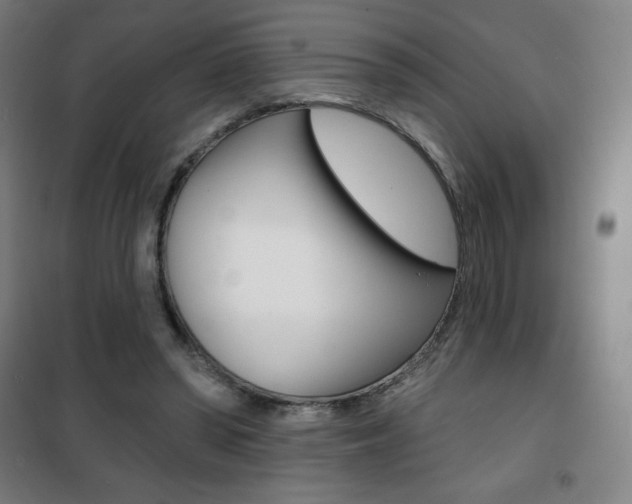 X0000101700398200807101350
