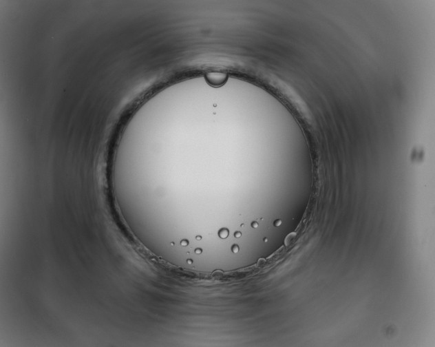 X0000101700399200807101350