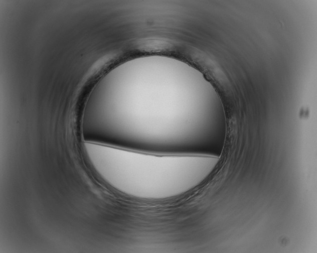X0000101700400200807101350