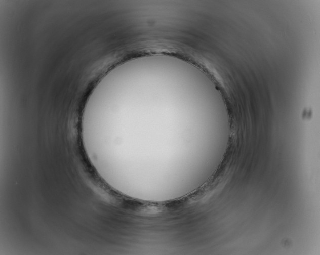 X0000101700402200807101350