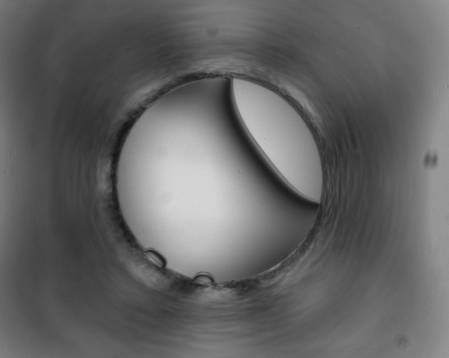 X0000101700403200807101350