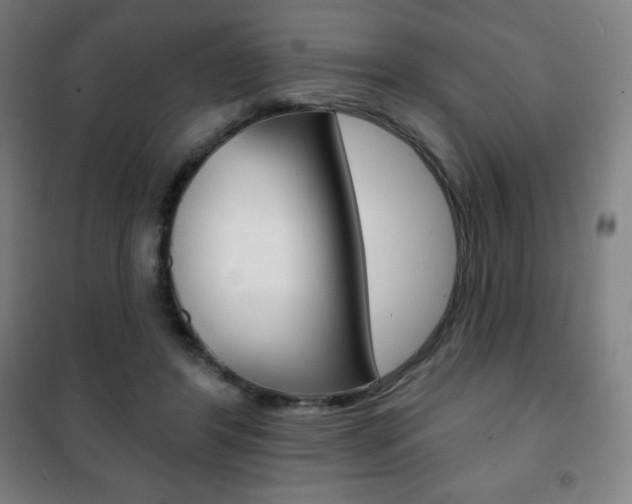 X0000101700404200807101350