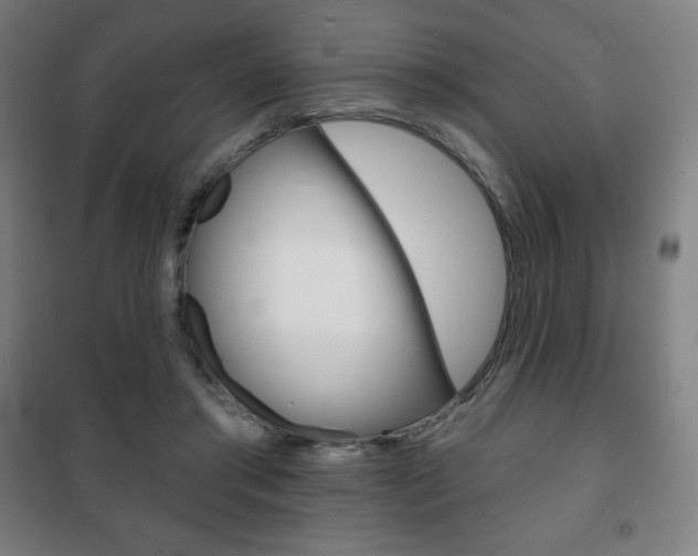 X0000101700405200807101350