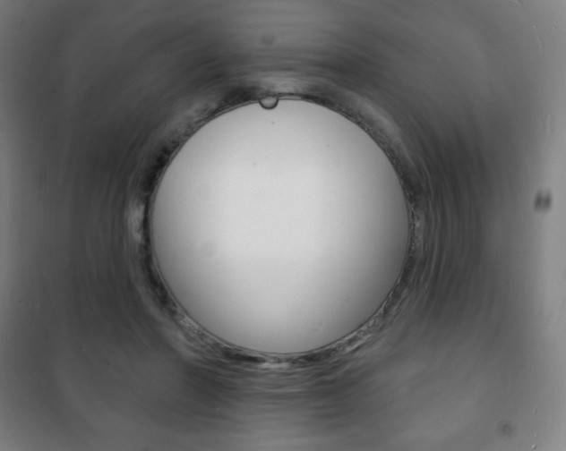 X0000101700406200807101350