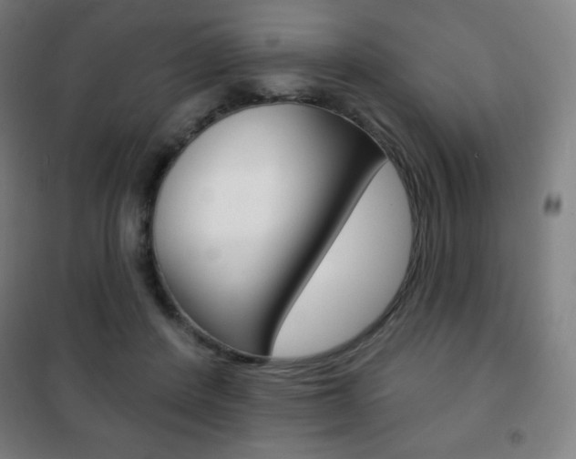 X0000101700408200807101350