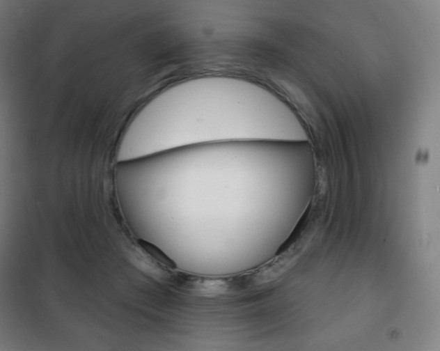 X0000101700409200807101350