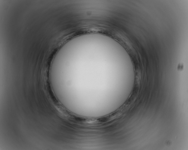 X0000101700410200807101350