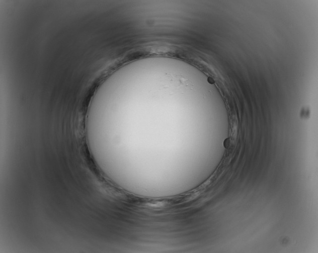 X0000101700411200807101350