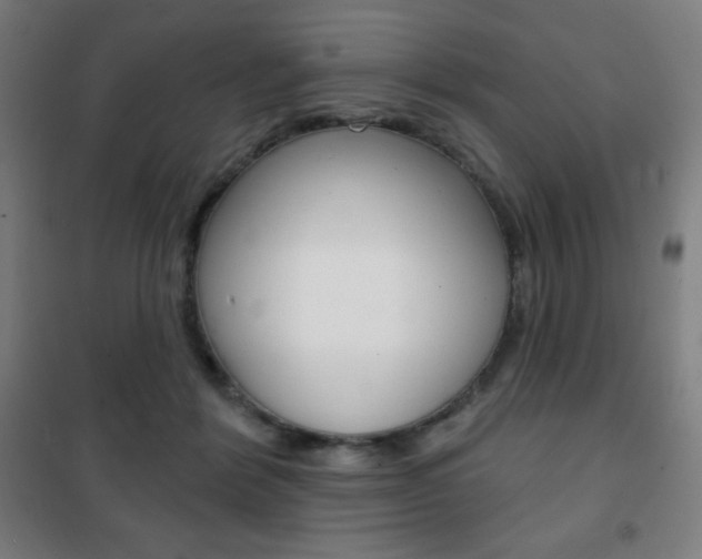 X0000101700412200807101350