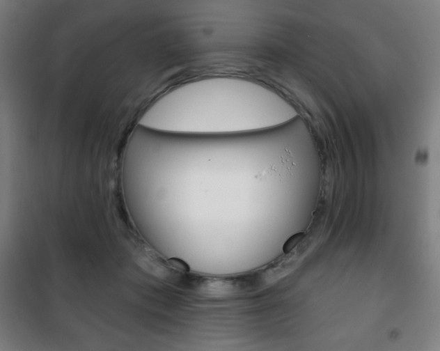 X0000101700413200807101350