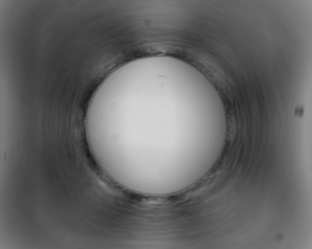 X0000101700414200807101350