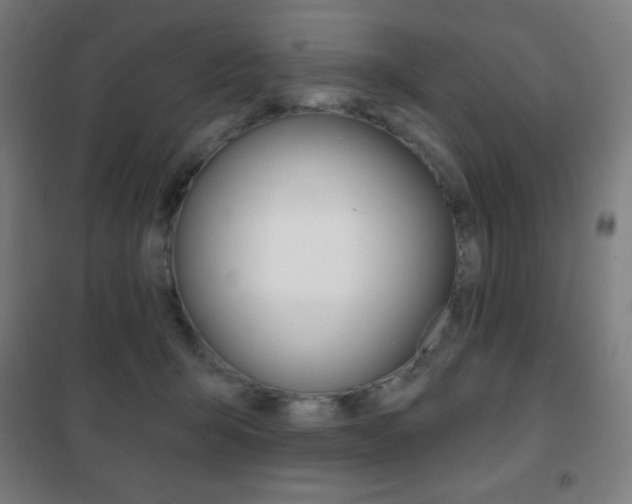 X0000101700415200807101350