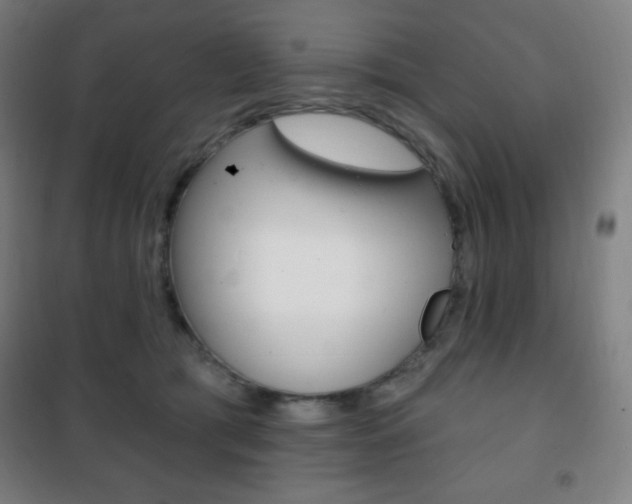 X0000101700417200807101350