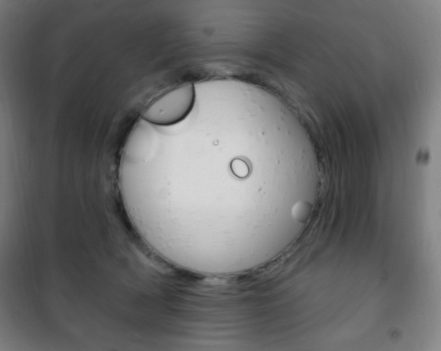 X0000101700418200807101350