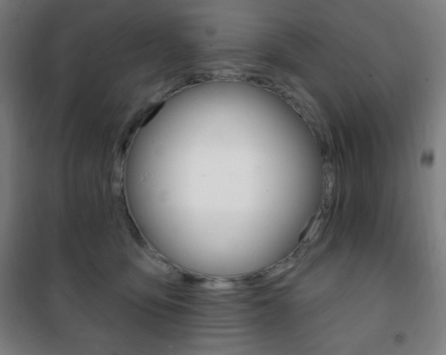 X0000101700419200807101350