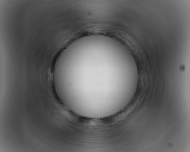 X0000101700420200807101350
