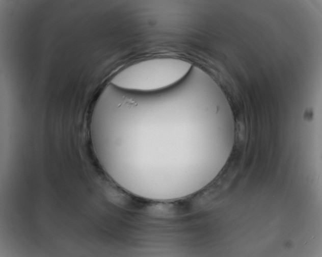 X0000101700422200807101350