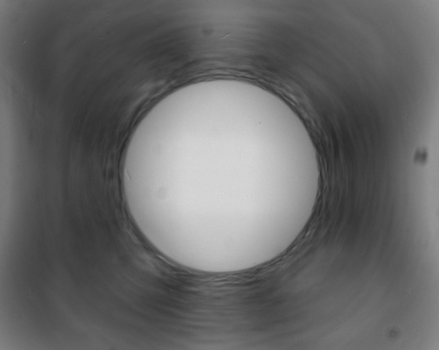 X0000101700423200807101350