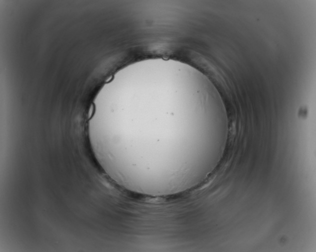 X0000101700424200807101350
