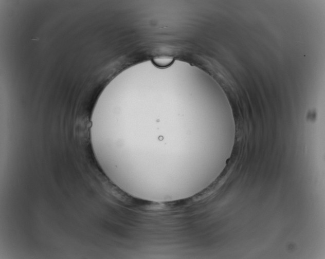 X0000101700425200807101350