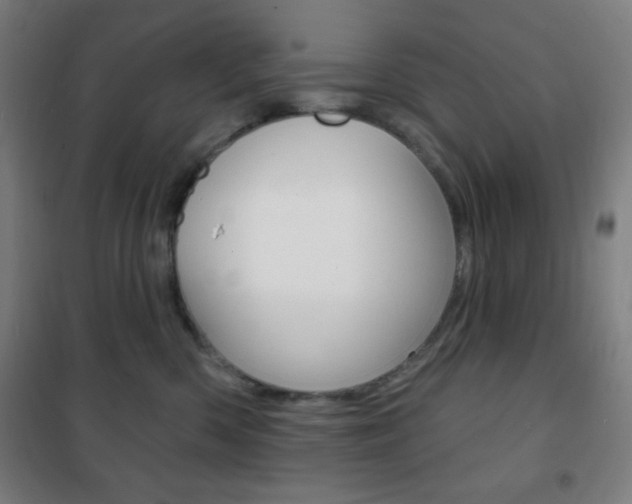 X0000101700426200807101350