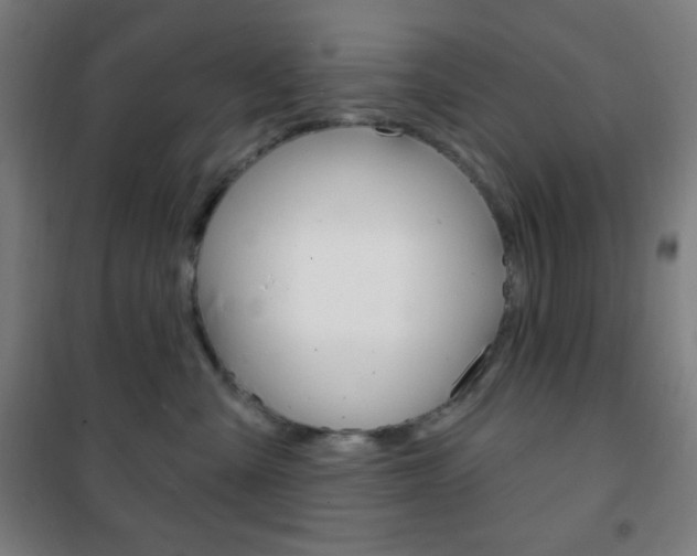 X0000101700427200807101350