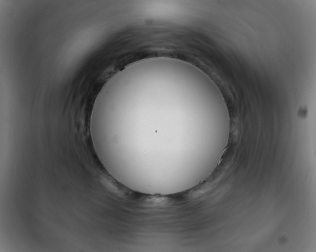 X0000101700428200807101350