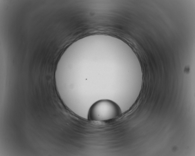 X0000101700429200807101350