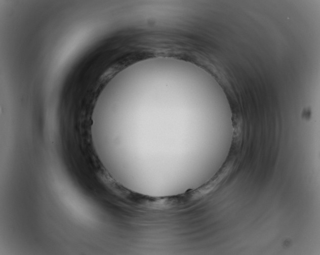 X0000101700430200807101350