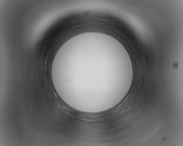 X0000101700431200807101350