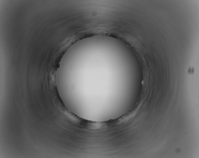 X0000101700432200807101350