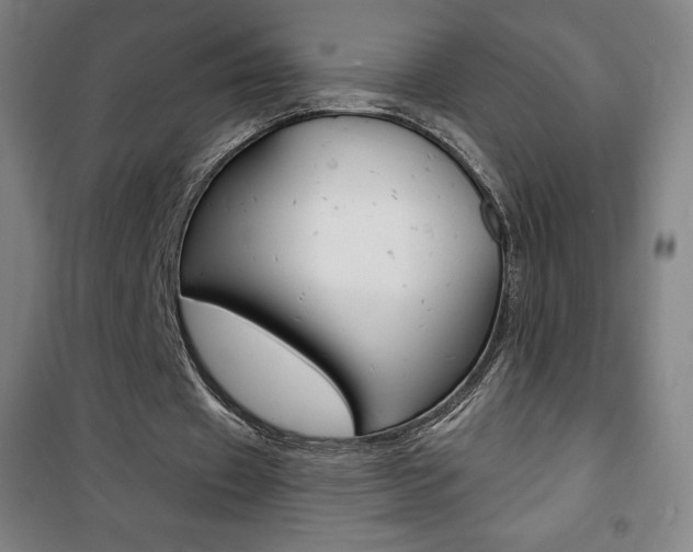 X0000101700433200807101349