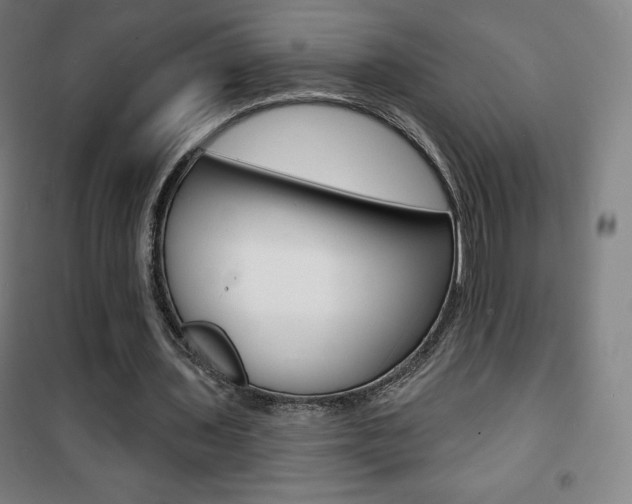 X0000101700435200807101349