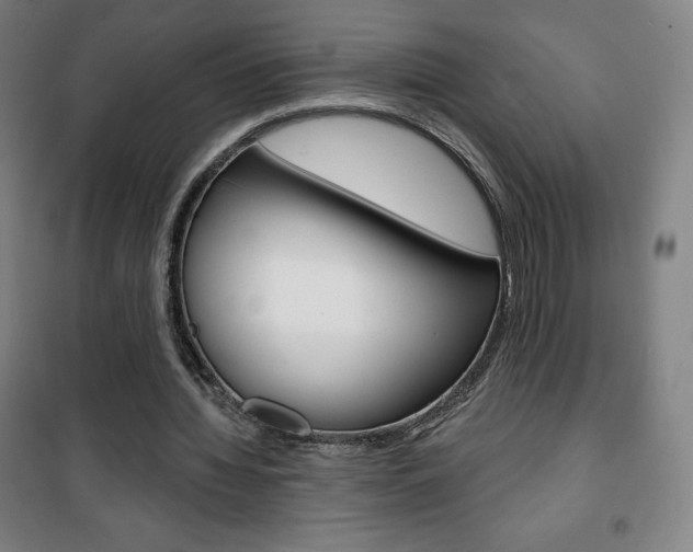 X0000101700436200807101349