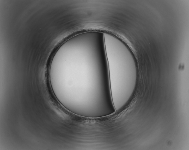 X0000101700439200807101349