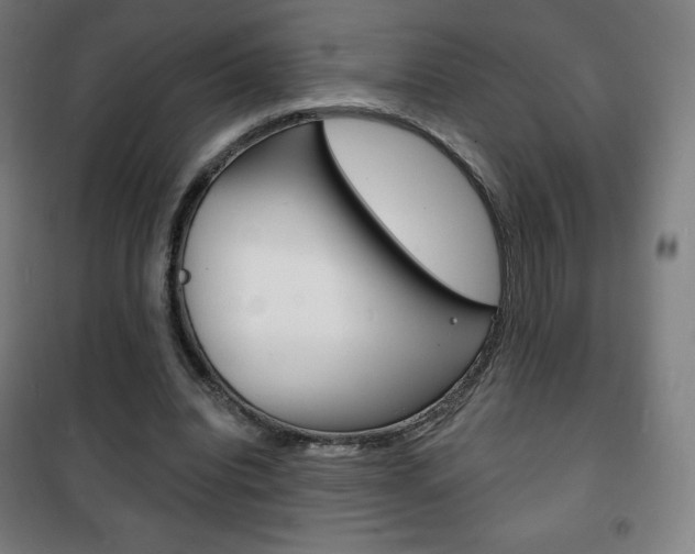 X0000101700440200807101349