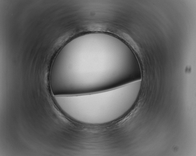 X0000101700441200807101349