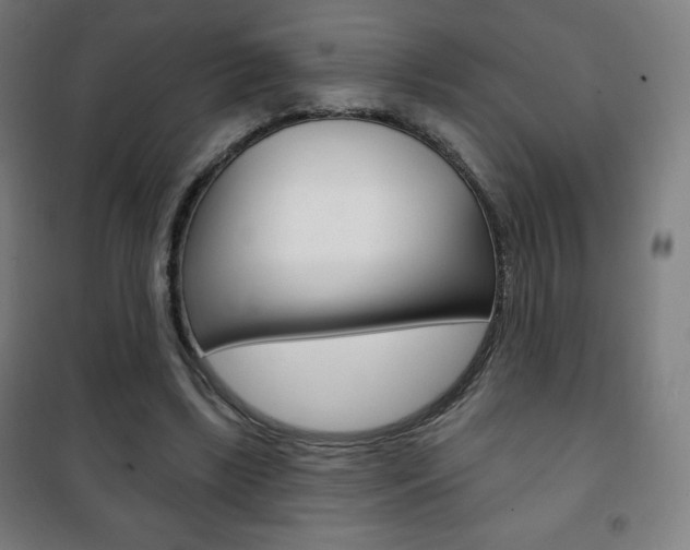 X0000101700443200807101349