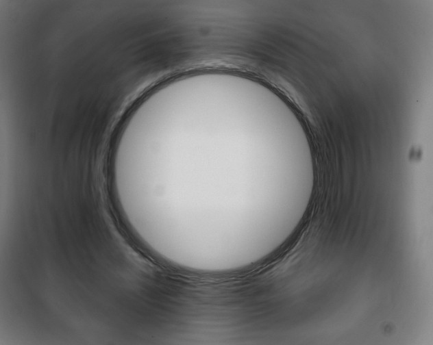 X0000101700444200807101349