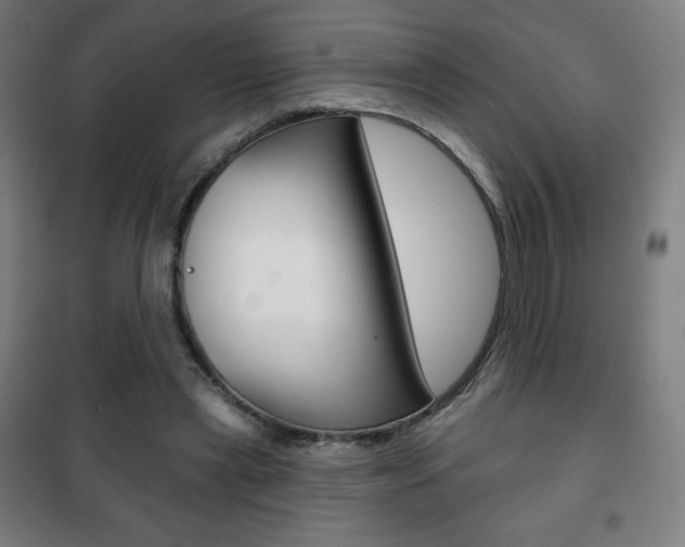 X0000101700445200807101349