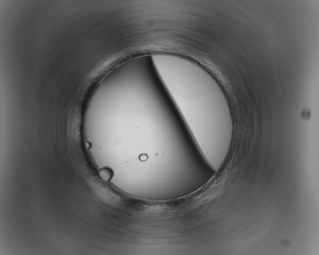 X0000101700446200807101349