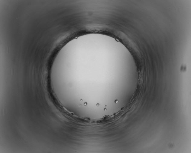 X0000101700448200807101349