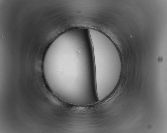 X0000101700449200807101349