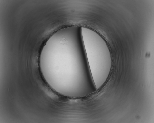 X0000101700450200807101349